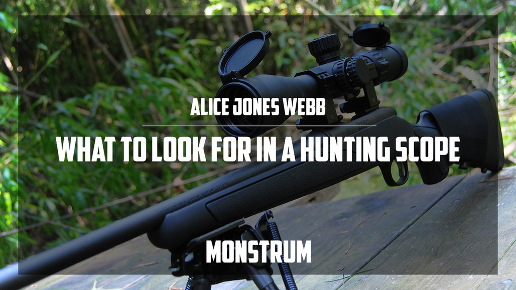 What to Look For in a Hunting Scope 